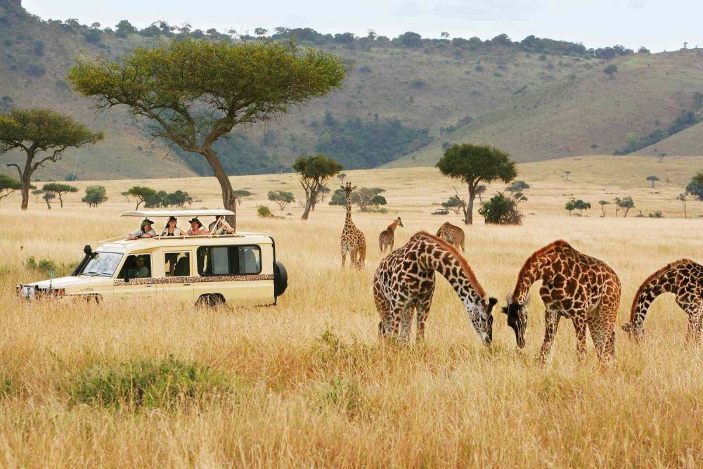 safari tourism in africa