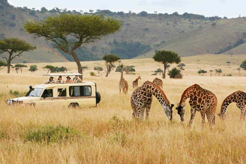 Tourist Economy: The Impact of Safari in Developing African Countries –  Berkeley Economic Review